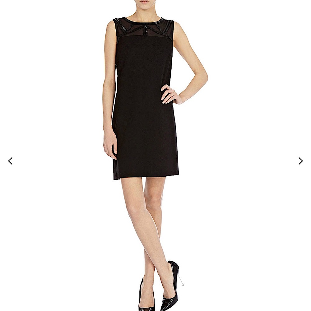 Coast Araminta Dress. Size 2. NWT
